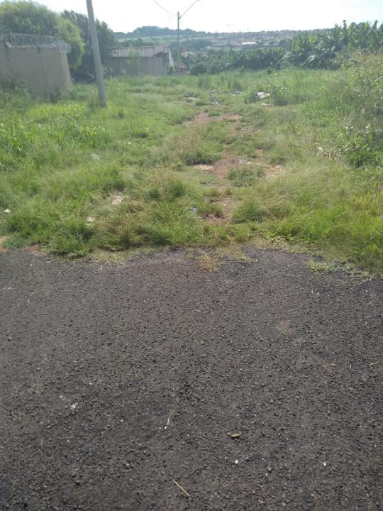 Foto 17 de 19 — Reclamação: “Onde deveria ser uma rua, só tem mato, lixo e água parada”, diz morador